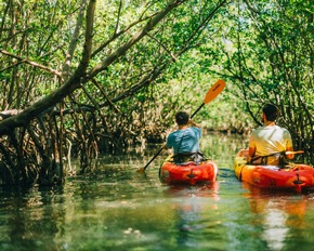 Romantik pur im Sunshine State: Floridas sch&ouml;nste R&uuml;ckzugsorte f&uuml;r Paare