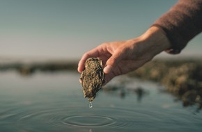 VisitDenmark: Austern schlemmen in D&auml;nemark