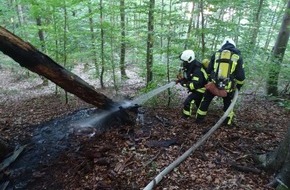 Freiwillige Feuerwehr Reichenau: FW Reichenau: Waldbrand schnell gelöscht Reichenau-Waldsiedlung, 22.07.2022