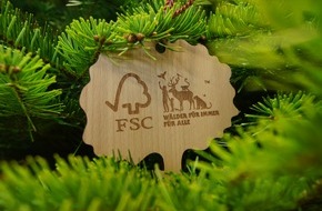 Forest Stewardship Council (FSC): Ein Weihnachtsbaum mit Haltung - FSC Deutschland schafft Klarheit für Verantwortung unterm Christbaum
