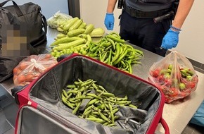 Hauptzollamt Saarbrücken: HZA-SB: Weder das Gemüse noch der Plan waren ausgereift; ZOLL findet 19 Kilogramm verbotene Lebensmittel und unversteuerte Zigaretten