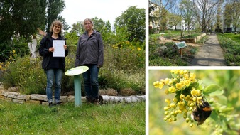 Auszeichnung: Weitere Berliner Wohnungsbaugenossenschaft „erntet Früchte“ für naturnahes Grün im Wohnquartier