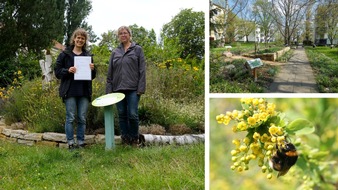 Stiftung für Mensch und Umwelt: Auszeichnung: Weitere Berliner Wohnungsbaugenossenschaft „erntet Früchte“ für naturnahes Grün im Wohnquartier