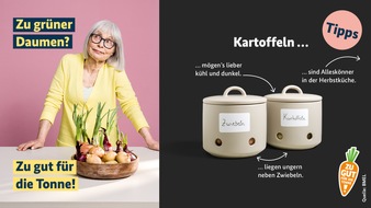 Koordinierungsstelle Zu gut für die Tonne!: Lieblingsknolle Kartoffel