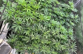 Polizei Hagen: POL-HA: Polizei stellt Cannabisplantage und Waffen in Wohnung eines 30-J&auml;hrigen fest