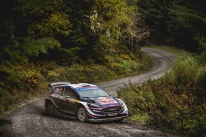 Bereit für ein großes WM-Finale: Sébastien Ogier mit Sieg bei der Rallye Wales zurück im Titelkampf