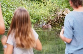Naturama Aargau: «Familiensommer 2025» im Naturama