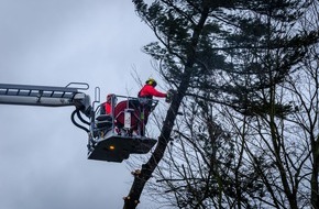 Feuerwehr Flotwedel: FW Flotwedel: Baum droht auf Haus zu stürzen / Ortsfeuerwehren Bockelskamp und Wathlingen beseitigen Gefahrenstelle