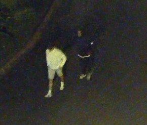 POL-OF: Öffentlichkeitsfahndung nach Einbruch in Einfamilienhaus