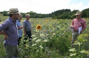 Global Nature Fund: Blühflächen: Insektenfördernde Region Bliesgau zeigt, wie´s geht