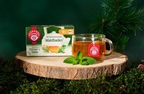 Teekanne GmbH & Co. KG: Pressemitteilung: Ein Waldbad aus der Teetasse: TEEKANNE erweitert &bdquo;Harmonie f&uuml;r K&ouml;rper & Seele&ldquo; um einen neuen, trendigen Bio-Kr&auml;utertee