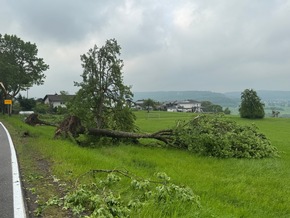 FW VG Westerburg: Unwetter wütet über Verbandsgemeinde Westerburg - Feuerwehren im Dauereinsatz