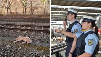 Bundespolizeidirektion München: Bundespolizeidirektion München: Bundespolizei sichert Kuscheltier und erlöst Reh