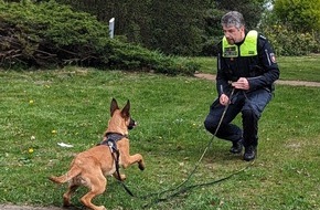 Polizeiinspektion Verden / Osterholz: POL-VER: Zukunftstag bei der Polizei Achim