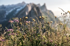 Hotel Hof Weissbad: JIVITA im Resort Hof Weissbad