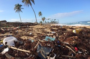 Helmholtz-Zentrum Hereon: PM-Hereon - Hereon und internationale Partner helfen mit, Mythen von gesicherten Erkenntnissen zu „Plastik in der Umwelt“ zu unterscheiden