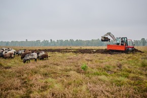 Vergölst fördert 2024 mehr als 50.000m² Natur in der Lüneburger Heide