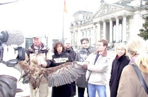Komitee gegen den Vogelmord e. V.: Tote Wappenvögel vor dem Reichstag / Vogelschützer fordern Verbot von Bleimunition