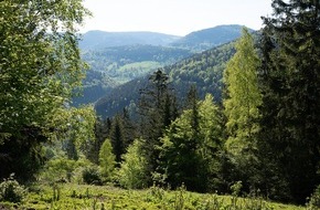 Bergwaldprojekt e.V.: Naturnahe Waldnutzung im Thüringer Wald - Informationsveranstaltung zum Zukunftswald Unterschönau