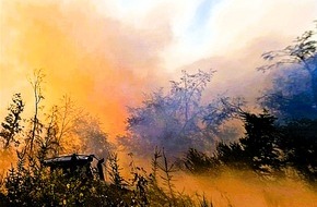 Landesamt f&uuml;r Brand- und Katastrophenschutz: LfBK RLP: Wald- und Vegetationsbr&auml;nde pr&auml;gen das Wochenende