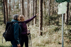 Discover Leipzig Region’s Top 5 Winter Hiking Trails