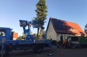 Baumpflege Kasper GmbH: Arbeitssicherheit hat bei der Baumabtragung h&ouml;chste Priorit&auml;t