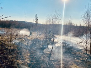 FW-MK: Erster Waldbrand des Jahres