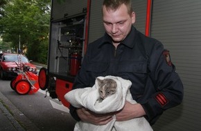 Feuerwehr Essen: FW-E: Feuerwehr rettet Katze aus gekipptem Fenster und entdeckt dabei auch eine tote Katze