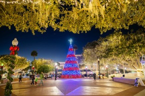 Barfuß im Sand und umgeben von Lichtern: Floridas besondere Vorweihnachtszeit