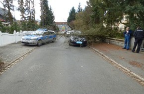 Polizeiinspektion Celle: POL-CE: Celle - Baum stürzt bei Sturm auf parkendes Auto