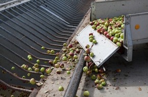 VdF Verband der deutschen Fruchtsaft-Industrie: VdF veröffentlicht Endergebnis: Niedrigste Apfelsaftmenge seit 1991 gekeltert