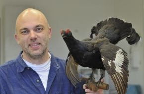 Deutsche Wildtier Stiftung: Huhn ohne Hoffnung? / Genetische Untersuchung belegt die Bedrohung der seltenen Birkhühner