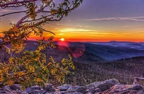 Tourismusverband Ostbayern e.V.: Herbst im Bayerischen Wald: Wenn der Wald Weitblick schenkt / Zwischen Gipfeln und Nebelmeeren: Wandern, Radfahren und Naturerlebnisse in der farbenreichen Jahreszeit