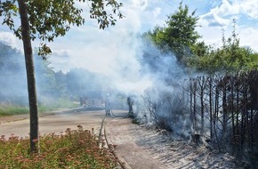 Feuerwehr Bocholt: FW Bocholt: Heckenbrand in Mussum