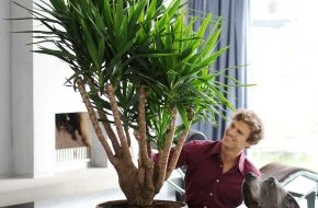Blumenbüro: Yucca Zimmerpflanze des Monats März / Entspannt leben mit der Individualistin Yucca (mit Bild)