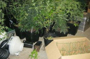 Polizeiinspektion Nienburg / Schaumburg: POL-STH: Marihuanan-Plantage ausgehoben