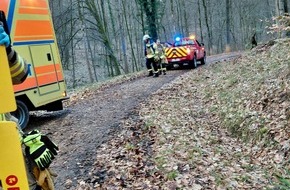 Feuerwehr Weinheim: FW Weinheim: Schwerer Reitunfall im Wald - Einsatzkr&auml;fte retten Patientin unter schwierigen Bedingungen