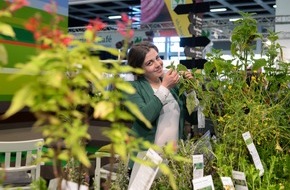 Messe Berlin GmbH: Grüne Woche 2018: Bio unverändert hoch im Kurs