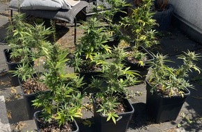 Polizei Rhein-Erft-Kreis: POL-REK: 230711-3: Cannabispflanzen sichergestellt
