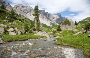 Alpenregion Bludenz: Den Sommer erwandern im Biosphärenpark Großes Walsertal - BILD