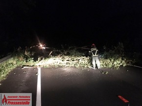 FW-PL: Einsätze der Plettenberger Feuerwehr im Verlauf des Freitags. PKW fährt in umgestürzten Baum.