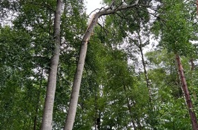 Freiwillige Feuerwehr Gemeinde Schiffdorf: FFW Schiffdorf: Sturmtief ,,Poly'' sorgt für einsatzreichen Tag im Gemeindegebiet Schiffdorf