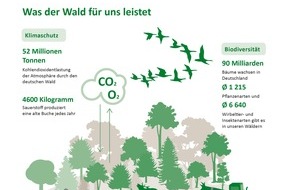FriedWald GmbH: Am 21. März ist Internationaler Tag des Waldes / In Deutschland erfüllt der Wald die unterschiedlichsten Funktionen: von Erholungsort bis Bestattungswald