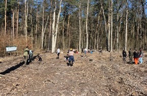 Laverana GmbH: renature mit lavera: Erstes Aufforstungsprojekt in Polen - 1.050 neue Bäume für die Zukunft