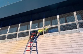 Freiwillige Feuerwehr H&uuml;nxe: FW H&uuml;nxe: Zwei Katzenbabys gerettet: Einsatzkr&auml;fte im Tierrettungseinsatz am Wesel-Datteln-Kanal