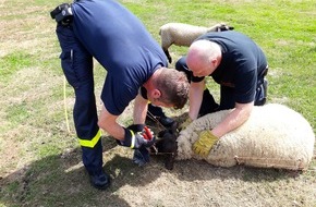 Feuerwehr Dorsten: FW-Dorsten: Einsatzbilanz 20.07.2017/21.07.2017.