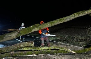 Feuerwehr Ense: FW Ense: Baum auf Fahrbahn