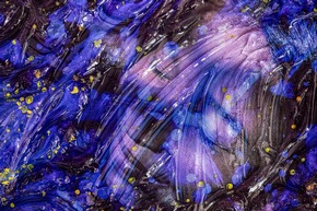 forever happy: Fotofestival bringt starke Bilder ins Stadtmuseum und in den Schlosspark
