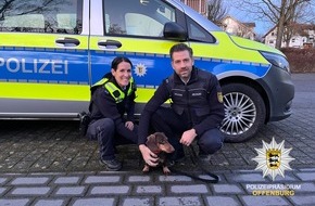 Polizeipräsidium Offenburg: POL-OG: Kehl, Sundheim - "Entführter Dackel"