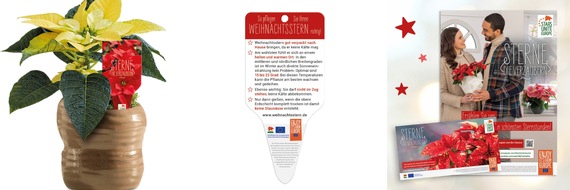 Stars for Europe GbR: Mehr Weihnachtssterne verkaufen: Jetzt PoS-Materialien für das Weihnachtsgeschäft sichern – kostenlos oder zum subventionierten Preis